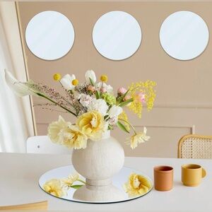 Round Mirrors Plates (6 pieces)